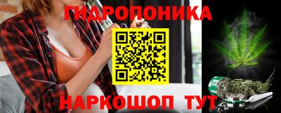 молекула духа Гудермес